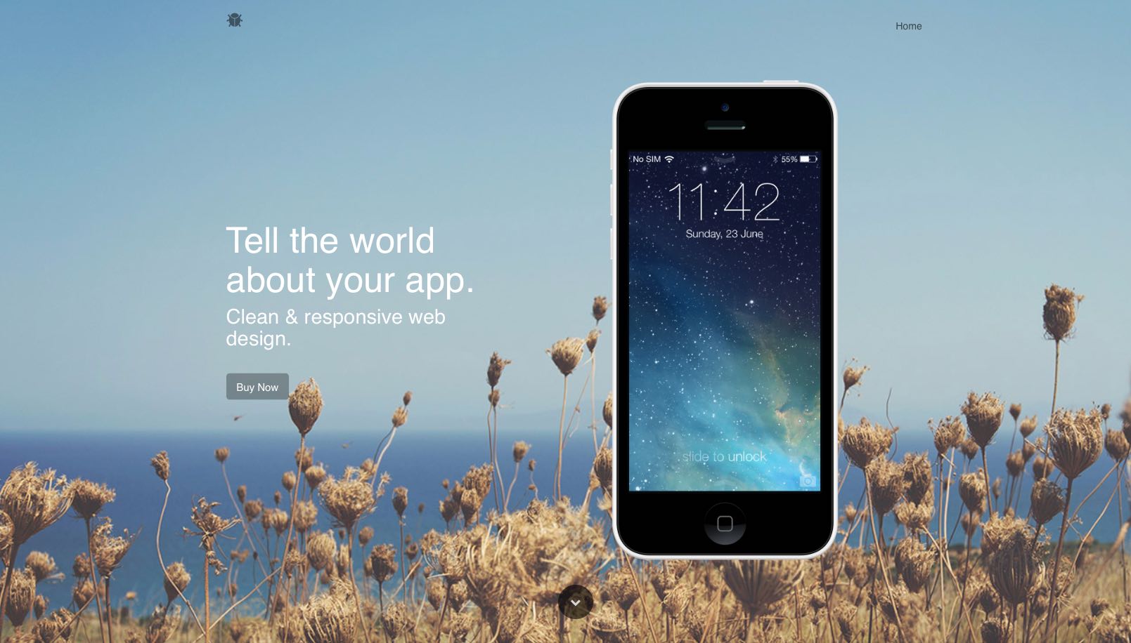 affordable web design services