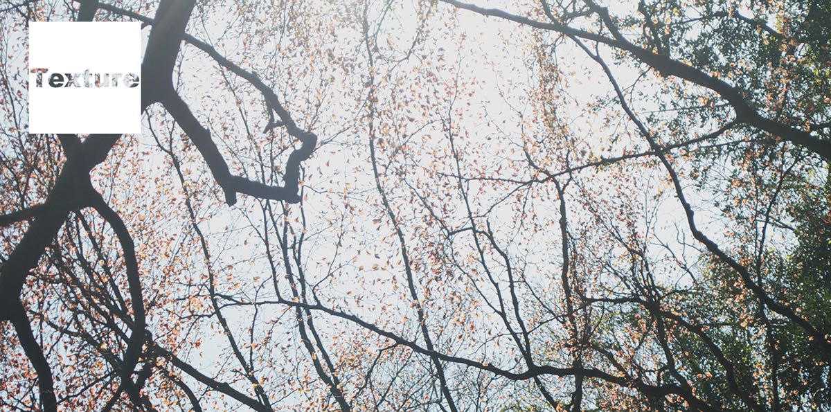 Creative Photography & Branding